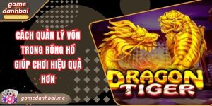 Cách quản lý vốn trong rồng hổ giúp chơi hiệu quả hơn