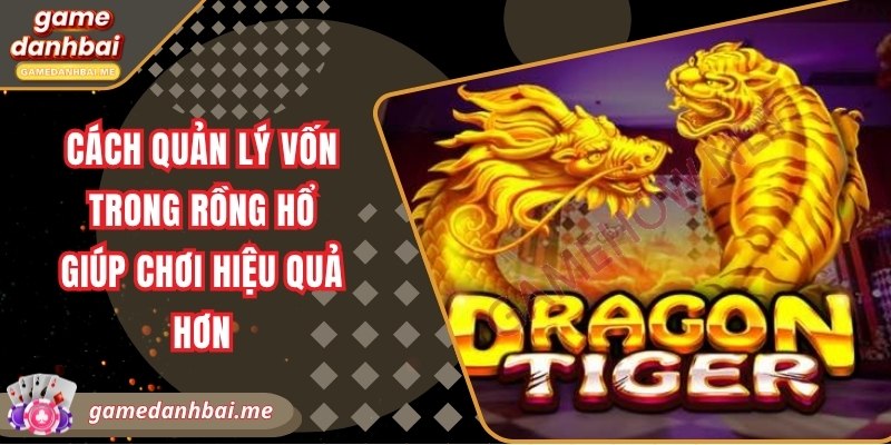 Cách quản lý vốn trong rồng hổ giúp chơi hiệu quả hơn