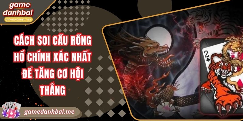 Cách soi cầu rồng hổ chính xác nhất để tăng cơ hội thắng