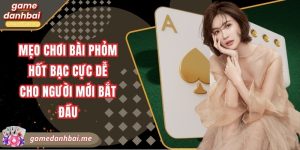 Mẹo chơi bài phỏm hốt bạc cực dễ cho người mới bắt đầu