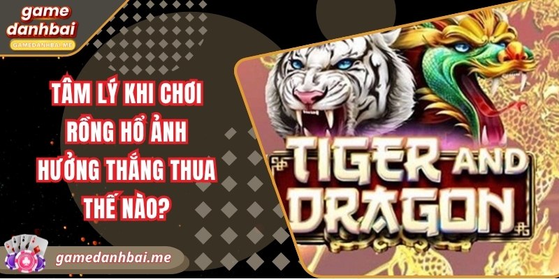 Tâm lý khi chơi rồng hổ ảnh hưởng thắng thua thế nào?